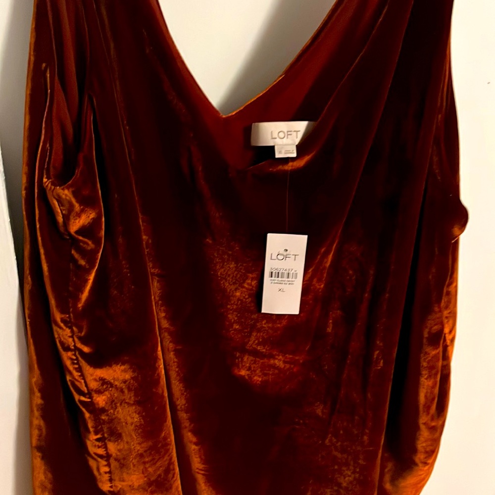 LOFT Rust Velvet Camisole